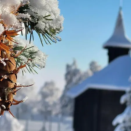 Kollar Appartement Vysoké Tatry